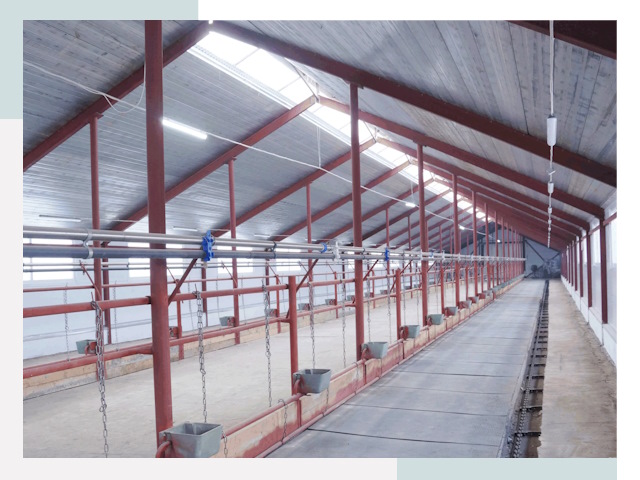 Строительство коровников в Аксае от 609 руб.