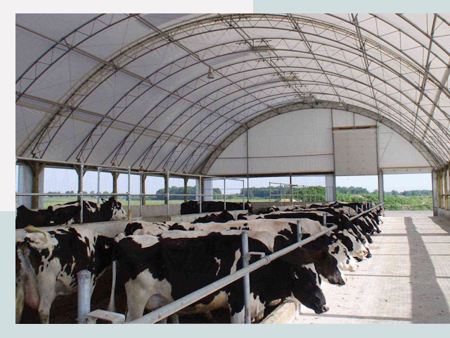 Тентовые коровники в Аксае